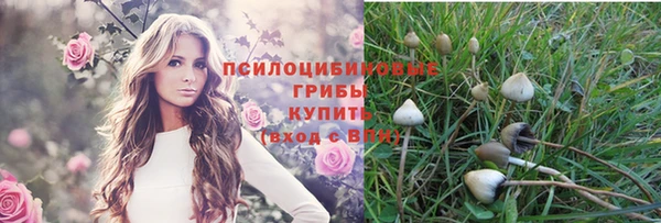 бошки Надым