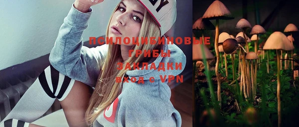 бошки Надым