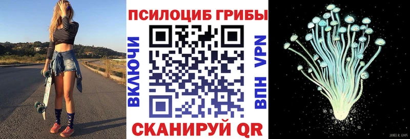 дарнет шоп  Торжок  Галлюциногенные грибы мухоморы 