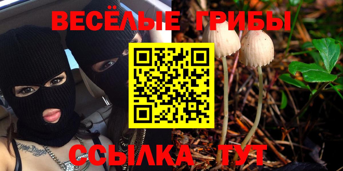 Торжок  Галлюциногенные грибы мухоморы  Вход с VPN 